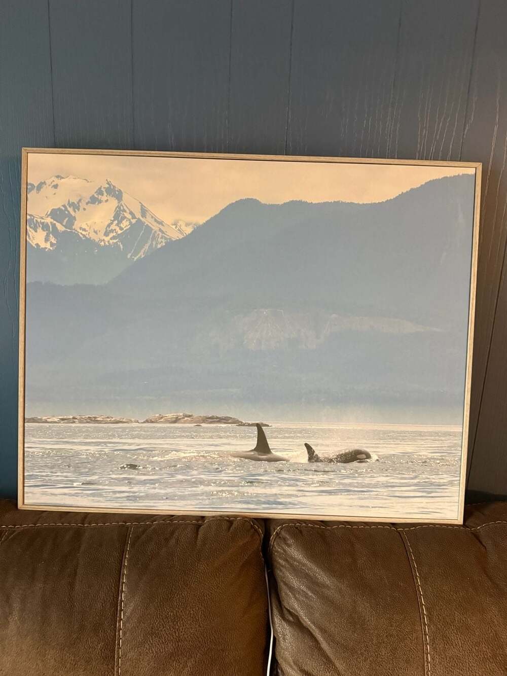 Stupell Industries 'Killer Whale Fins Ocean Mountain Peak Art by Daniel Sproul